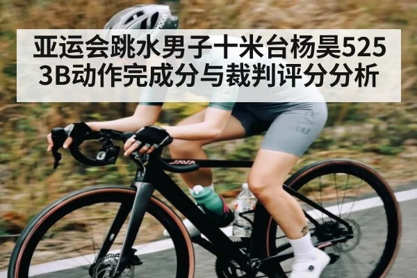 亚运会跳水男子十米台杨昊5253B动作完成分与裁判评分分析